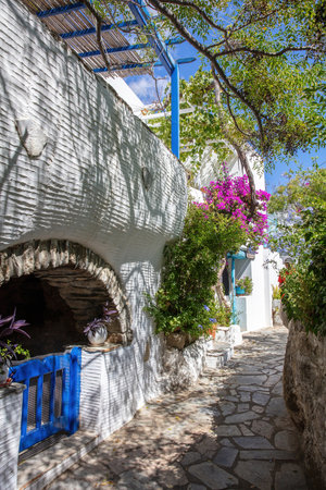Greece. Tinos island, Volax village, Cyclades. Arched stonewall home entrance, wooden blue door, paved narrow alley, shadow from plant. Verticalの写真素材