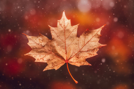 Autumn maple leaf on bokeh background with falling snow. generative aiの素材
