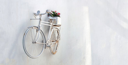 Mallow with red flower in pot put at white painted old rusty bike on whitewashed empty wall background. Greece, Cyclades island. Copy spaceの写真素材