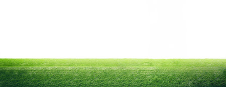 Green grass isolated on white background, copy space. Soccer field lawn and empty space, bannerの写真素材