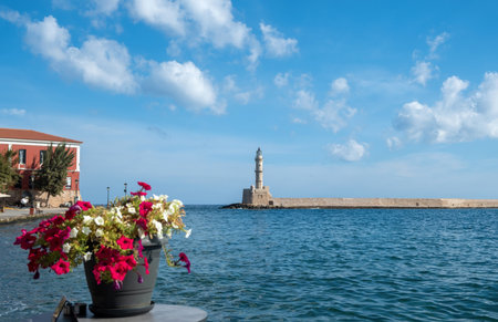 Greece, Old Town of Chania Crete. View of lighthouse, beacon at Venetian port from outdoors cafe. Table with potted pink, white petunia.の写真素材