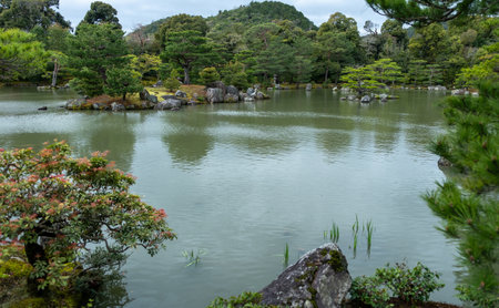 Japanese garden with pond, crane bird resting on rocks. Kinkaku-ji garden and lake, Kyoto, Japanの写真素材