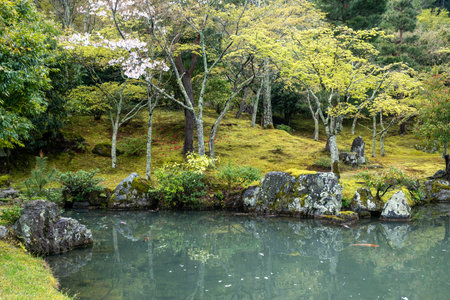 Japanese garden with pond, trees and rocks around calm water, Kinkaku-ji garden and lake, Kyoto, Japanの写真素材