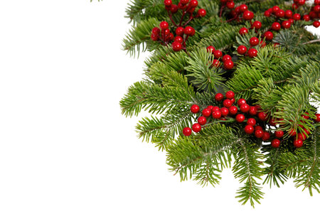 Christmas tree border and red berries decoration isolated on white, Xmas holiday season garlandの写真素材