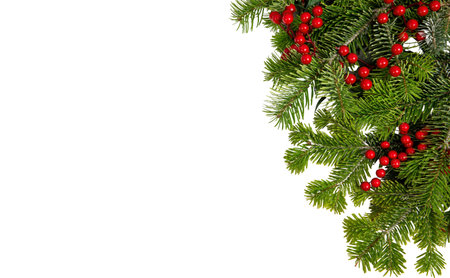 Christmas tree border and red berries decoration isolated on white, Xmas holiday season garlandの写真素材