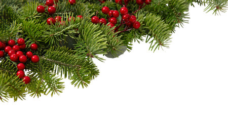 Christmas tree border and red berries decoration isolated on white, Xmas holiday season garlandの写真素材