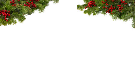Christmas tree border and red holly berries decoration isolated on white, Xmas festive garland, top viewの写真素材