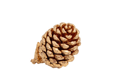 Pine cone isolated on white, golden painted conifer cone closeupの写真素材
