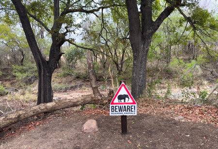 BEWARE OF ROAMING ANIMALS sign at a lodge garden on Zambezi river banks, Zimbabwe.の写真素材