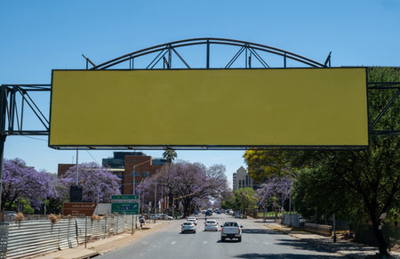 Blank empty billboard mockup template for advertising over a highway in South Africa. Blue sky and blooming jacaranda treesの写真素材
