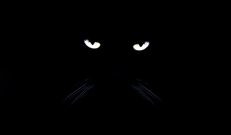 Cat eyes on black background. Friday the 13th concept. Bad luck date superstitionの写真素材