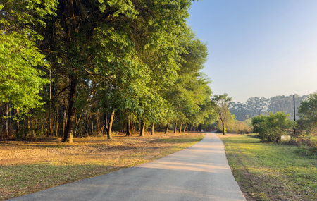 Paved pathway through a lush green landscape, tall trees on the left, grassy area on the right, blue...