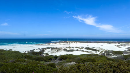 White sandy beach with sand dunes and green vegitation near Cape Town, South Africa. Soft ocean waves and clear blue skyの写真素材