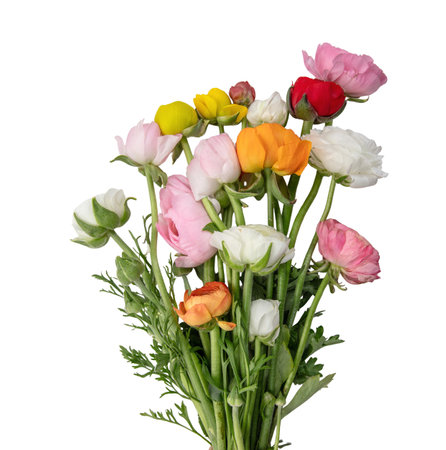 Flowers buttercups bouquet isolated on white, Mothers day, Women' s day concept