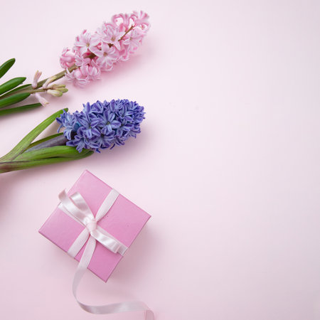 Mothers day gift. Fresh Hyacinths, Spring  flowers and a gift box on pink backgroundの写真素材