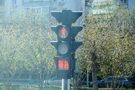 Pedestrian red light traffic signal in a street crossing in China, digital countdown timer and chinese charactersの写真素材