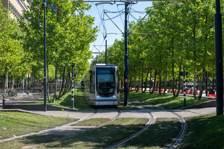 Tram in Rotterdam city, public transportation in town, sunny day in Netherlands Hollandの写真素材