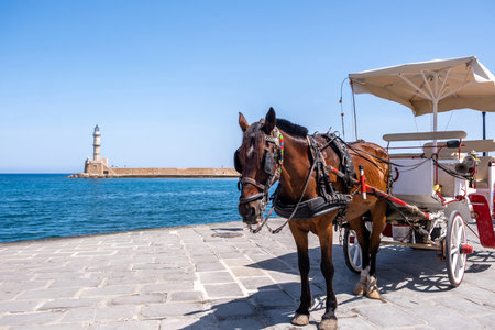 Chania Crete. Horse carriage and the lighthouse at the old venetian harbor, blue skyの写真素材