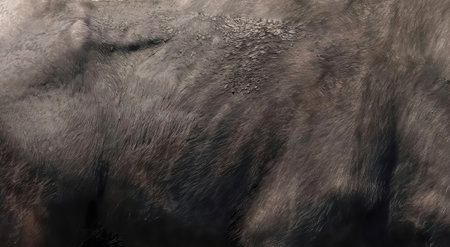 Buffalo skin texture. African savanna wild animal grey black leather closeup viewの写真素材