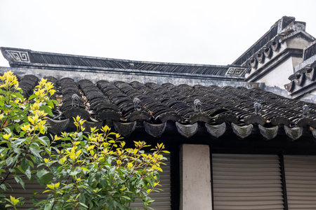 Ancient Chinese tiled roof with decorative eaves, green foliage in front of a traditional building....