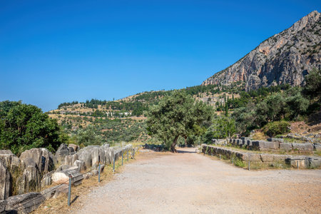Historic pathway through ancient ruins at Delphi beneath a bright blue summer sky, surrounded by...
