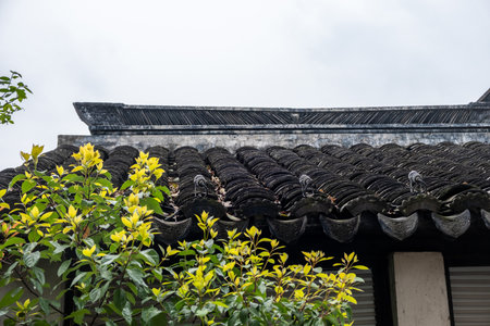 Ancient Chinese tiled roof with decorative eaves, green foliage in front of a traditional building....