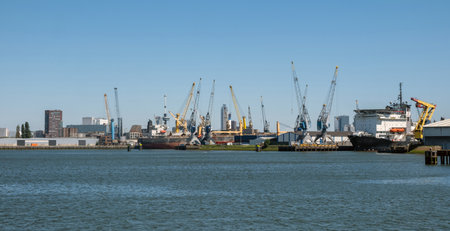 Port of Rotterdam, Netherlands. Cargo ships and cranes loading, Logistics industrial business