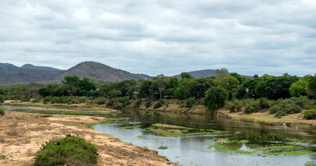 Crocodile River in Kruger National Park

, South Africa, Safari lodges and tree covered hills, cloudy sky.の写真素材