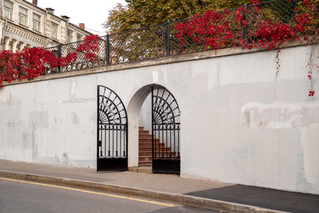 open, wrought iron gate in concrete wall covered with branches of wild grapes at entrance to public park in autumn dayの写真素材