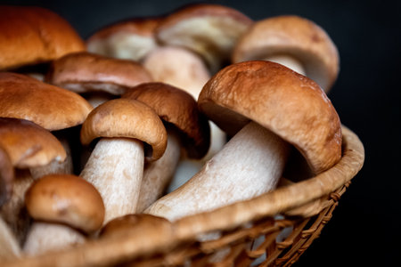 wicker basket filled with harvested boletus porcini mushrooms close upの写真素材
