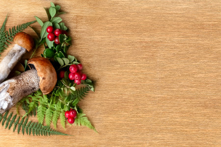 Border of wild forest mushrooms, lingonberry twigs with red ripe berries and green fern leaves on wooden textured backgroundの写真素材