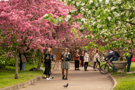 30 May 2022, Moscow, Russia - people walk in the spring park admiring the blooming pink apple treesのeditorial素材