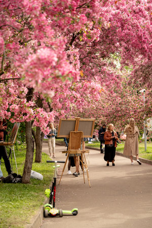 30 May 2022, Moscow, Russia - people walk in the spring park admiring the blooming pink sakura treesのeditorial素材
