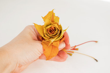 Close up rose flower assembled from maple leaves twisted on top of each other. How to make an autumn bouquet of roses from colorful maple leaves. DIY concept. Step 9 of 12 step-by-step photo instructionの写真素材