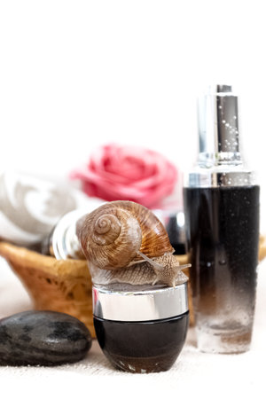 Set of moisturizing cosmetic bottles with snail mucinsの写真素材
