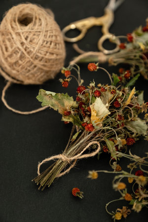Bunch of dried wild strawberry twigs with berries. Herbal medicine remedyの写真素材
