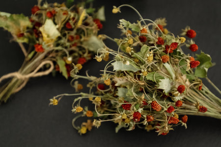 Bunch of dried wild strawberry twigs with berries on dark table surface. Herbal medicine remedyの写真素材