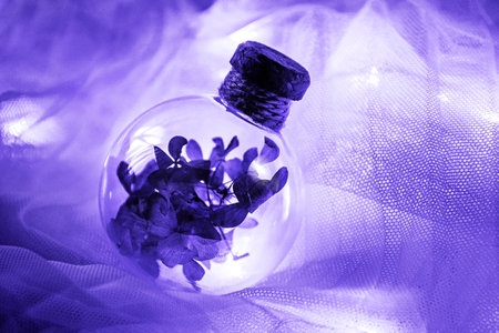 Magic bottle filled with dry flowers in purple very peri lightの写真素材