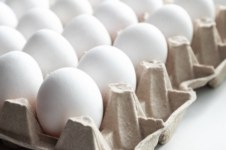 dozen of fresh white chicken eggs in paper trayの写真素材