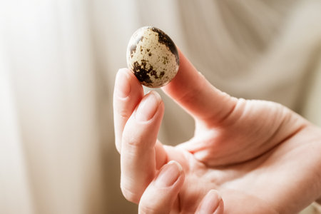 Woman holds small spotted egg in her hand, close upの写真素材