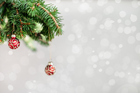 Christmas decorative fir branch with red shiny ball on airy bokeh light backgroundの写真素材