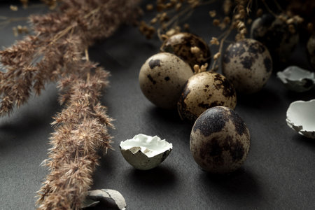 Spotted quail eggs and dry pampas grass stems scattered on tabletop surface, happy easter holiday...