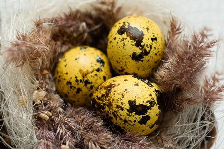 Easter spring decoration of nest with three golden spotted eggs