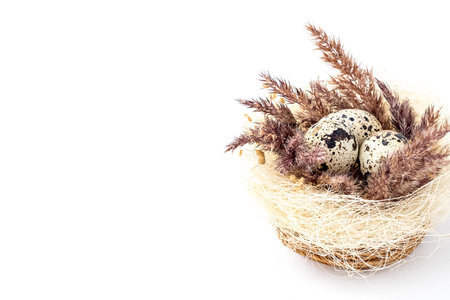Easter decorative nest with small speckled eggs and dry fluffy pampas grassの写真素材
