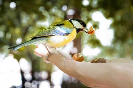 itmouse sits on a handの写真素材