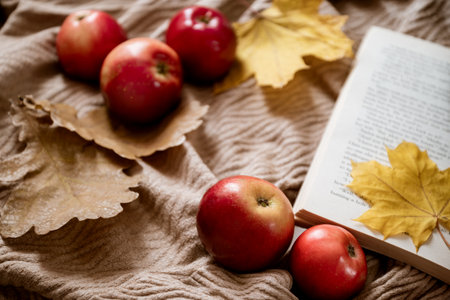 Red apples laying near open book with yellow maple lead as bookmarkの写真素材