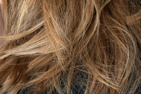 Natural color blond hair textured backgroundの写真素材