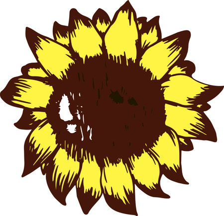 Blooming yellow blooming sunflower head isolatedのイラスト素材
