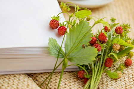 ripe red berries of wild strawberries on  twigs  lying next to open book