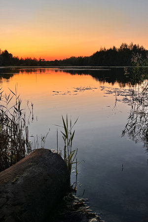 sunset over calm lake at summer evening, log at lake shoreの写真素材